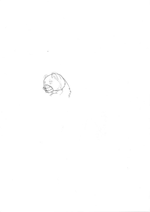 A single sketch of the head